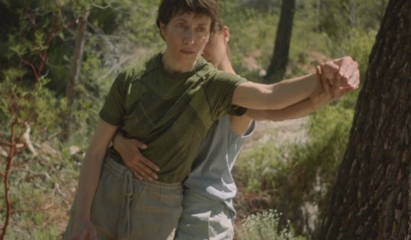 Visualbild Formes de vie