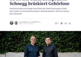 Screenshot Zeitungsartikel